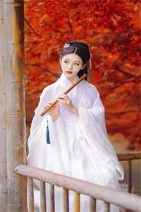 重启1978军嫂开挂人生