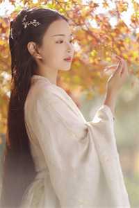 许辛夷易扬