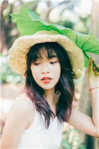 顾疏婉谢纵清