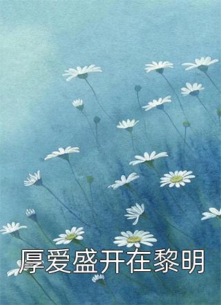 苏瑜周云崢全集