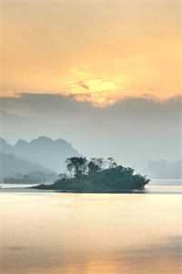 沈桑宁
