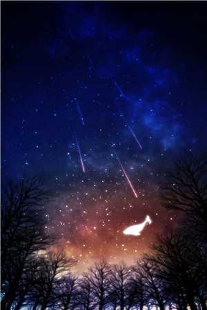 苏星悦陈宸