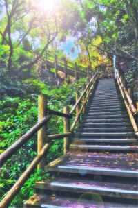 陆绍鸣林穗清