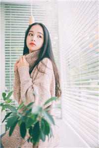 东方应渊洛芜