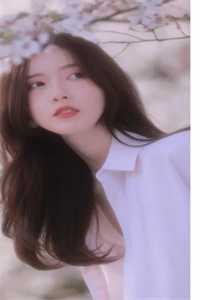 五年前我的未婚妻因公殉职推介