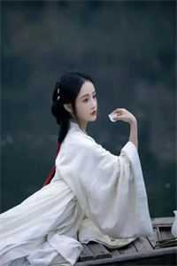 帝师归来列表