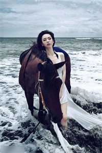 再无明月共白头后续