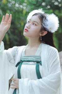 赘婿竟是真豪门全局