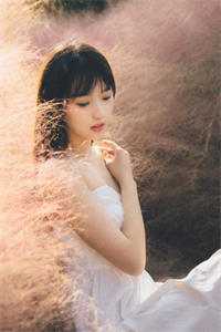 抛弃神界太子未婚夫后，我却历劫飞升了