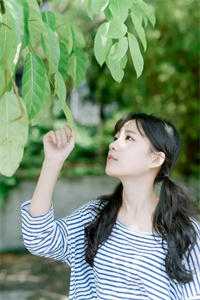 爱意如冰，彻骨生寒