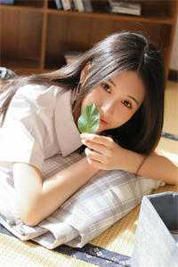 驿寄梅花