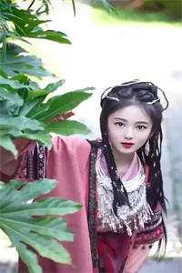 长风不渡我情深