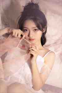 美人归