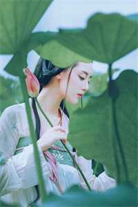 永生花谢时，你与我别离