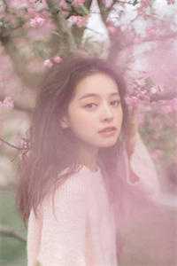 春游压死狗后，妻子被网暴了