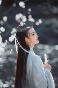 黄鹤已随卿卿去