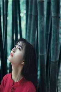 爱意已迷途，将再无归期