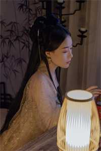 姐姐死后，我成为大帅府里的假孕黑玫瑰