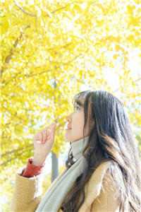 未婚夫抢我灵果送女修，我踹了他