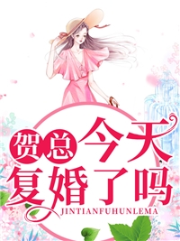 风雪辞，与君照白首
